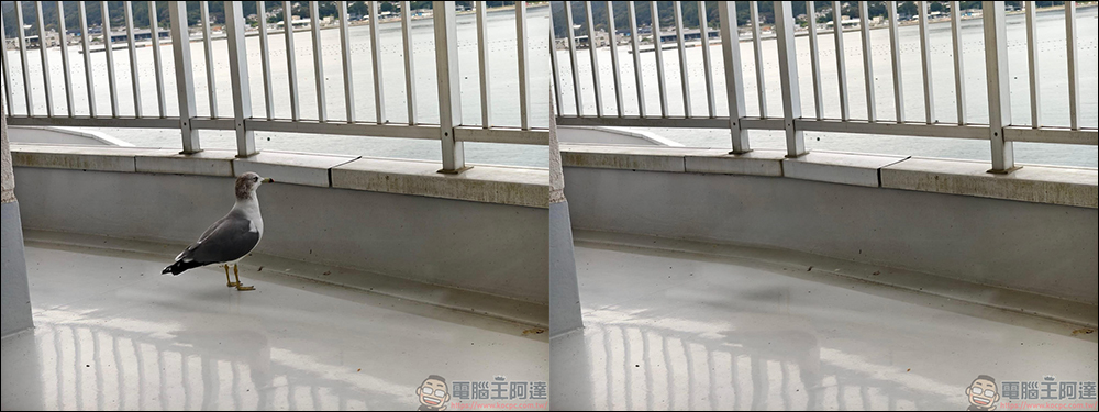 iOS 18.1 Clean Up 去除功能實測,iPhone 終於有這功能可用了 - 電腦王阿達 iOS 18.1 Clean Up 去除功能實測,iPhone 終於有這功能可用了 - 電腦王阿達