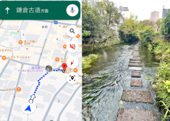 Google Maps