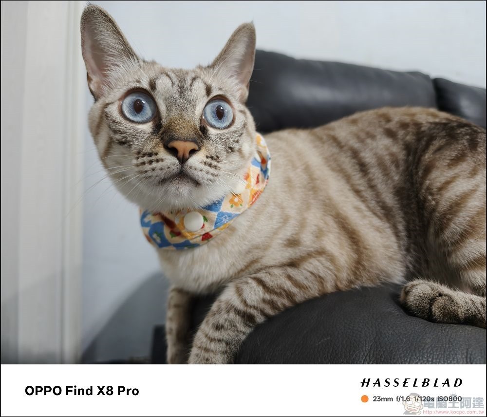 OPPO Find X8 Pro 拍攝樣張 - 18 OPPO Find X8 Pro 拍攝樣張 - 18