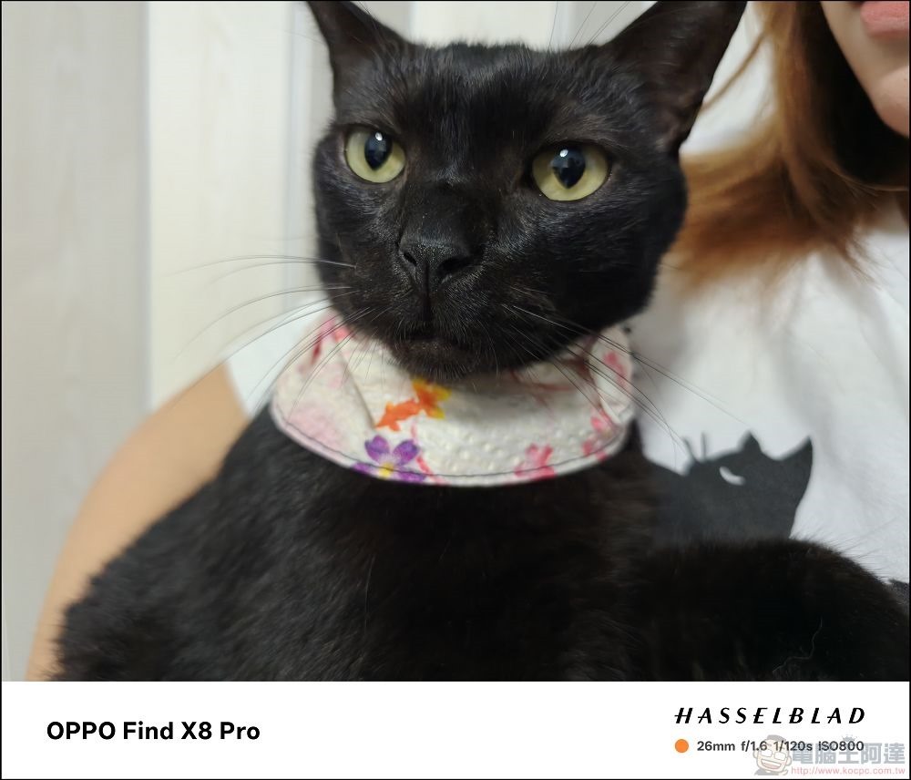 OPPO Find X8 Pro 拍攝樣張 - 19 OPPO Find X8 Pro 拍攝樣張 - 19