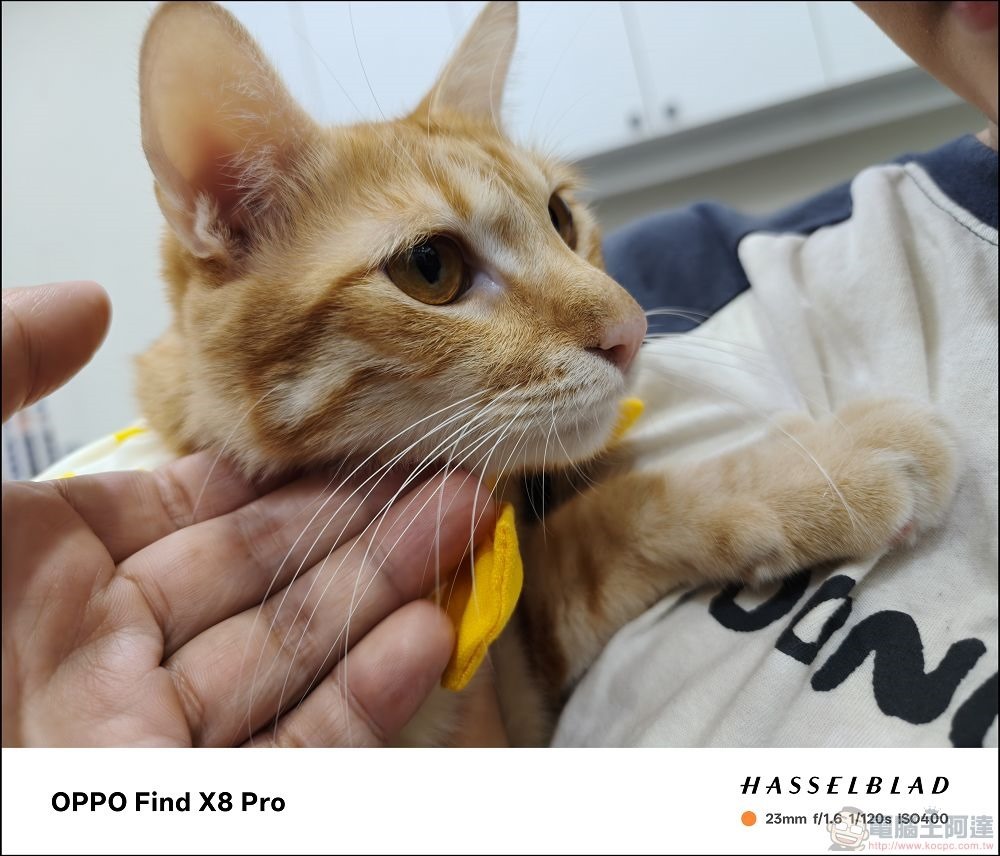 OPPO Find X8 Pro 拍攝樣張 - 20 OPPO Find X8 Pro 拍攝樣張 - 20