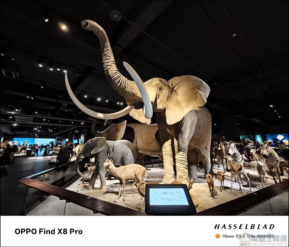 OPPO Find X8 Pro 拍攝樣張 - 29 OPPO Find X8 Pro 拍攝樣張 - 29