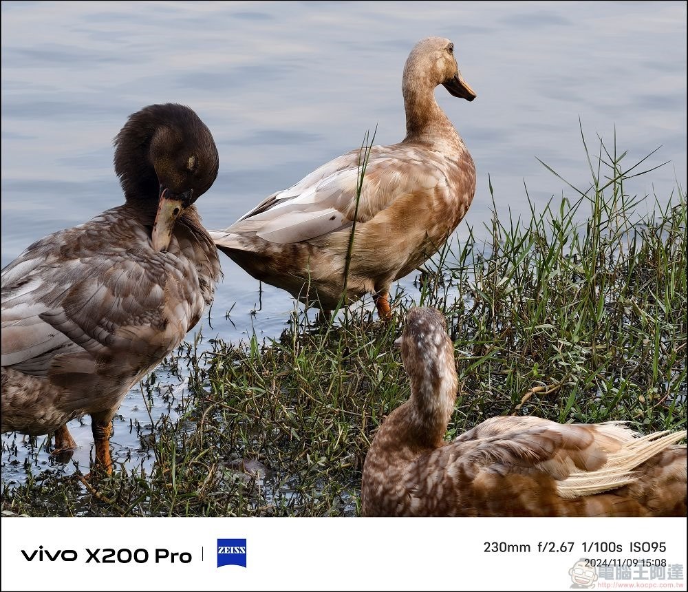 vivo X200 Pro 拍攝樣張 - 21 vivo X200 Pro 拍攝樣張 - 21