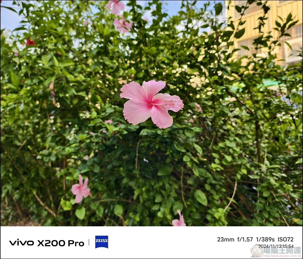 vivo X200 Pro 拍攝樣張 - 35 vivo X200 Pro 拍攝樣張 - 35