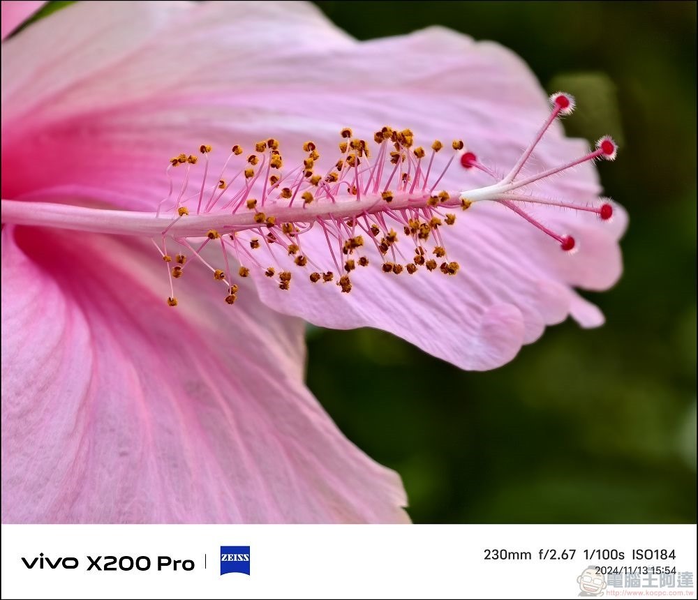 vivo X200 Pro 拍攝樣張 - 36 vivo X200 Pro 拍攝樣張 - 36