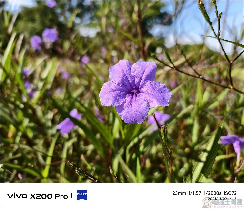 vivo X200 Pro 拍攝樣張 - 37 vivo X200 Pro 拍攝樣張 - 37