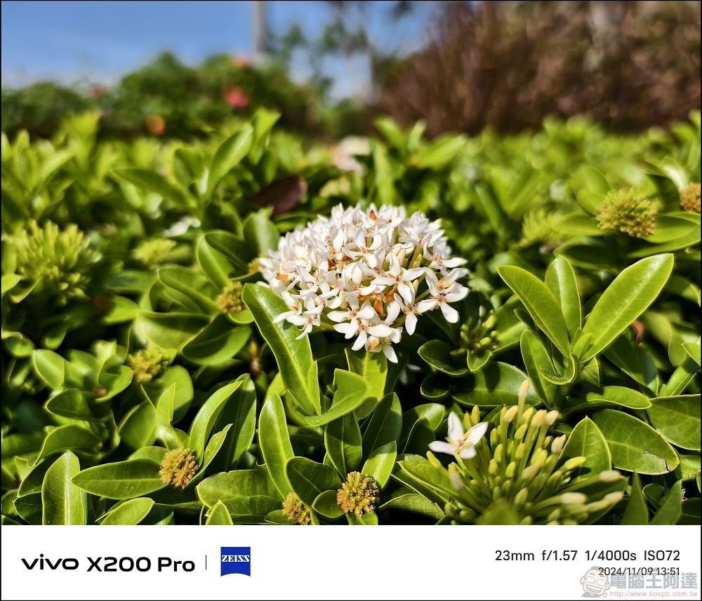 vivo X200 Pro 拍攝樣張 - 38 vivo X200 Pro 拍攝樣張 - 38