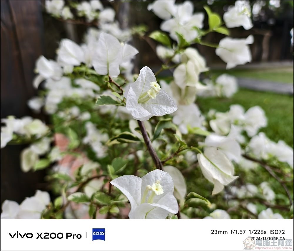 vivo X200 Pro 拍攝樣張 - 39 vivo X200 Pro 拍攝樣張 - 39