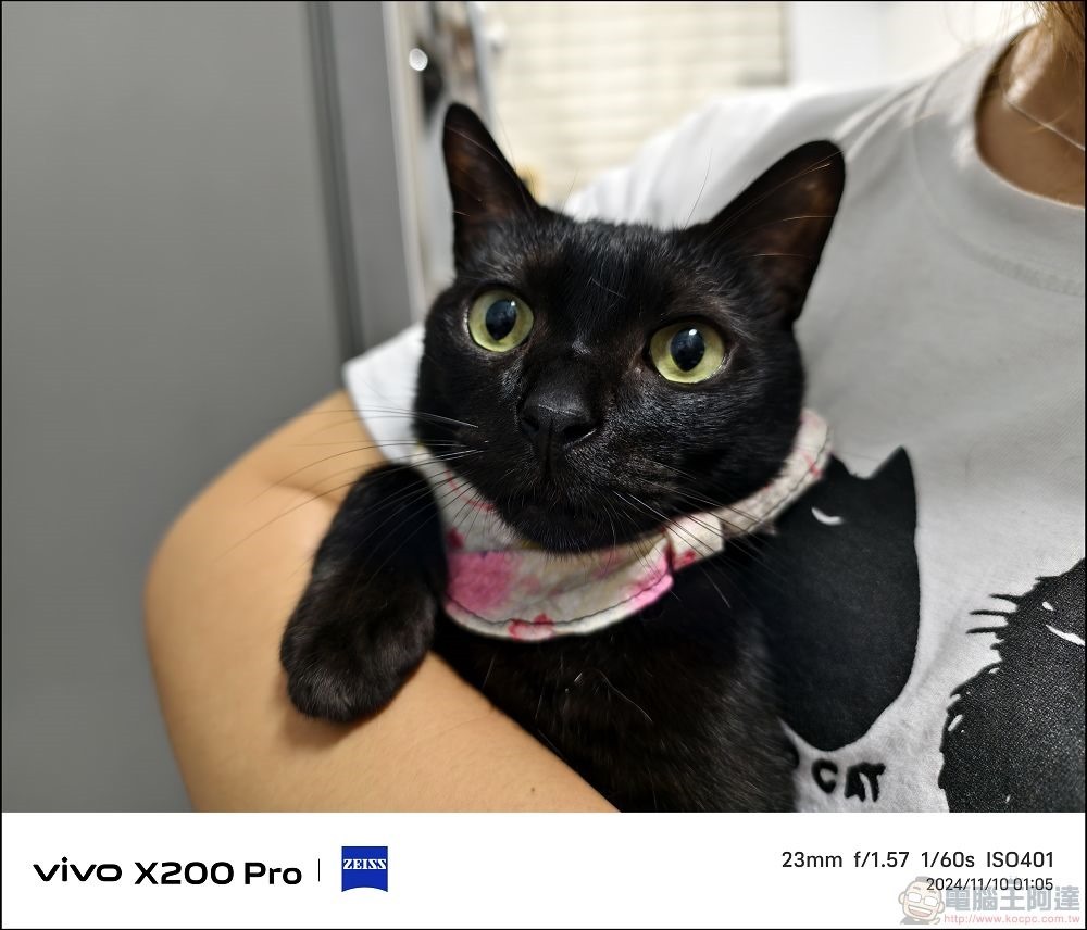 vivo X200 Pro 拍攝樣張 - 57 vivo X200 Pro 拍攝樣張 - 57