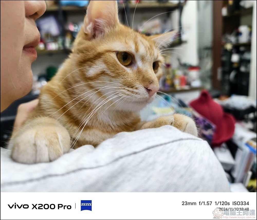 vivo X200 Pro 拍攝樣張 - 58 vivo X200 Pro 拍攝樣張 - 58