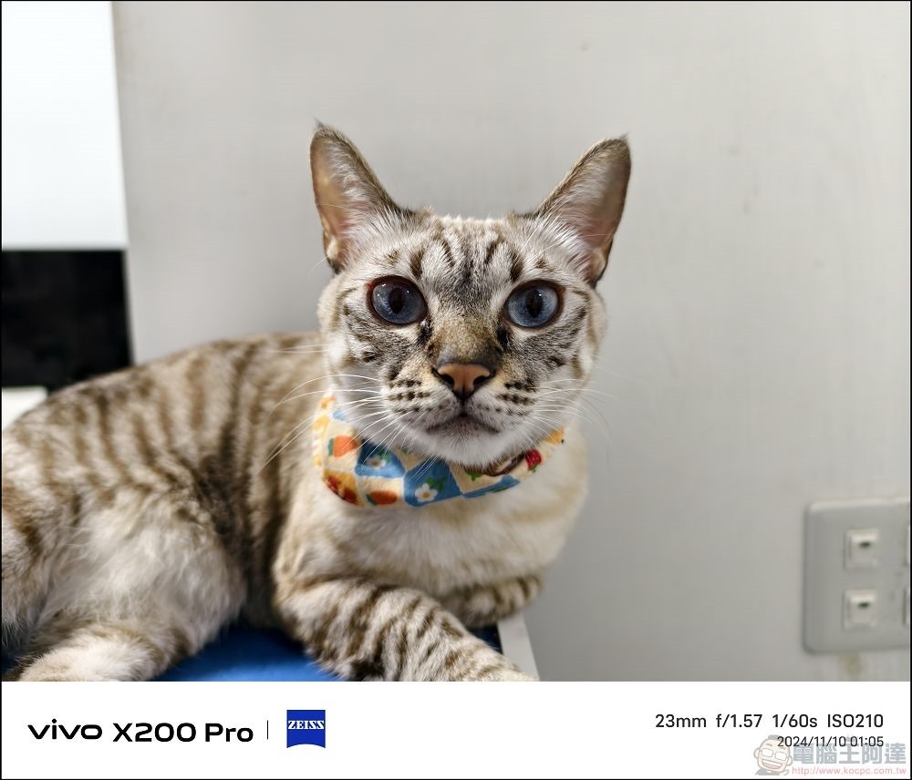 vivo X200 Pro 拍攝樣張 - 59 vivo X200 Pro 拍攝樣張 - 59