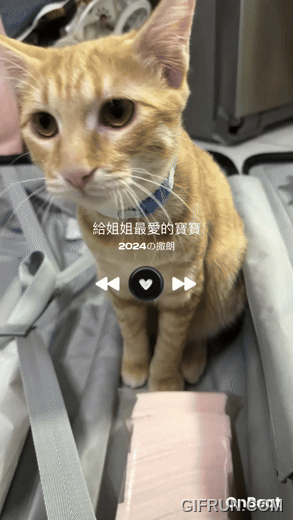 免費影片剪輯 APP OnBeat:上傳圖片就可一鍵生成 2024 回顧影片 - 電腦王阿達 免費影片剪輯 APP OnBeat:上傳圖片就可一鍵生成 2024 回顧影片 - 電腦王阿達