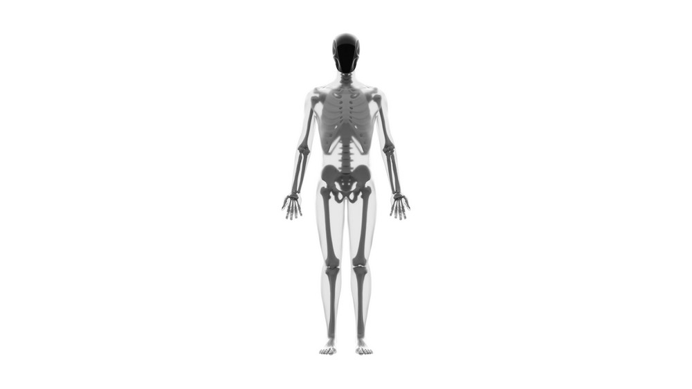 西部世界成真?世界首個雙足肌肉骨骼仿生機器人 Protoclone V1 掀起熱議 - 電腦王阿達 西部世界成真?世界首個雙足肌肉骨骼仿生機器人 Protoclone V1 掀起熱議 - 電腦王阿達