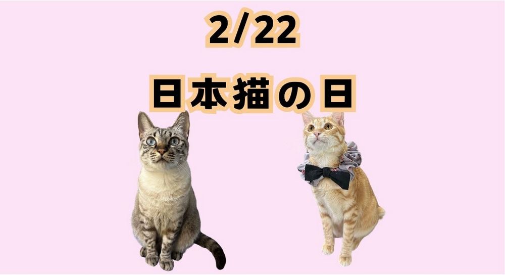 2025日本貓之日:麥當勞、全家、Google等品牌推出可愛貓咪驚喜 - 電腦王阿達 2025日本貓之日:麥當勞、全家、Google等品牌推出可愛貓咪驚喜 - 電腦王阿達