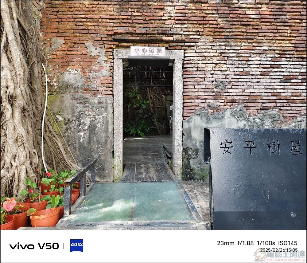 vivo V50 拍攝樣張 - 10 vivo V50 拍攝樣張 - 10