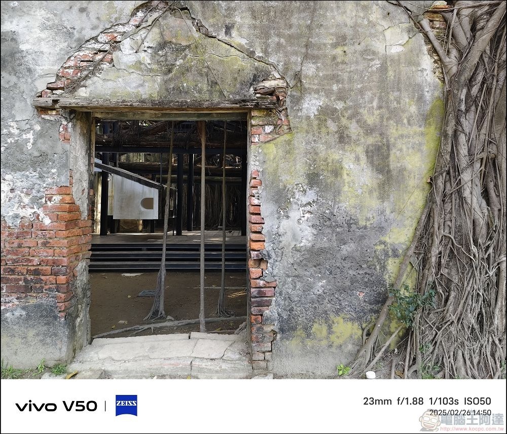 vivo V50 拍攝樣張 - 11 vivo V50 拍攝樣張 - 11