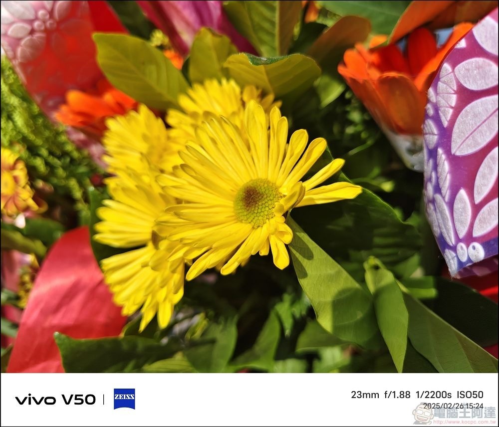 vivo V50 拍攝樣張 - 12 vivo V50 拍攝樣張 - 12