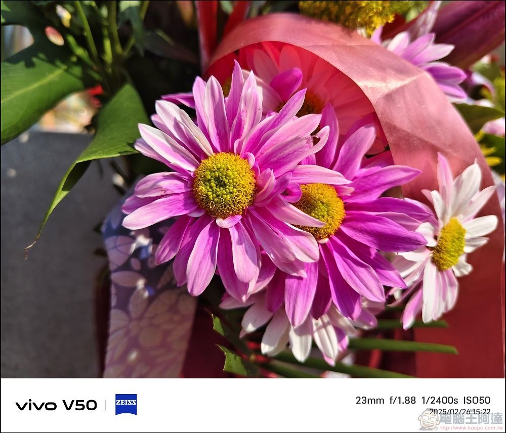 vivo V50 拍攝樣張 - 16 vivo V50 拍攝樣張 - 16
