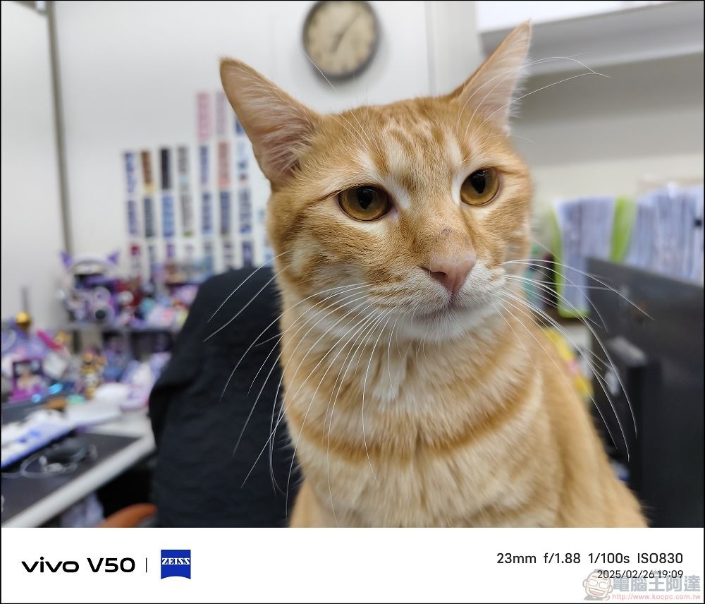 vivo V50 拍攝樣張 - 22 vivo V50 拍攝樣張 - 22