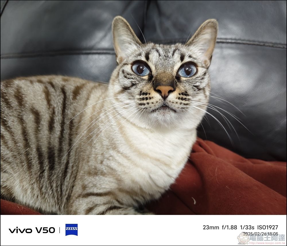 vivo V50 拍攝樣張 - 23 vivo V50 拍攝樣張 - 23