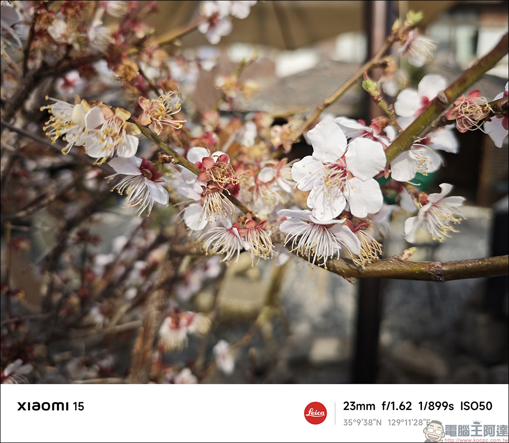 小米 Xiaomi 15 Ultra vs Xiaomi 15 開箱&選購攻略|2025 最新徠卡影像旗艦巔峰對決,哪款最適合你? - 電腦王阿達 小米 Xiaomi 15 Ultra vs Xiaomi 15 開箱&選購攻略|2025 最新徠卡影像旗艦巔峰對決,哪款最適合你? - 電腦王阿達