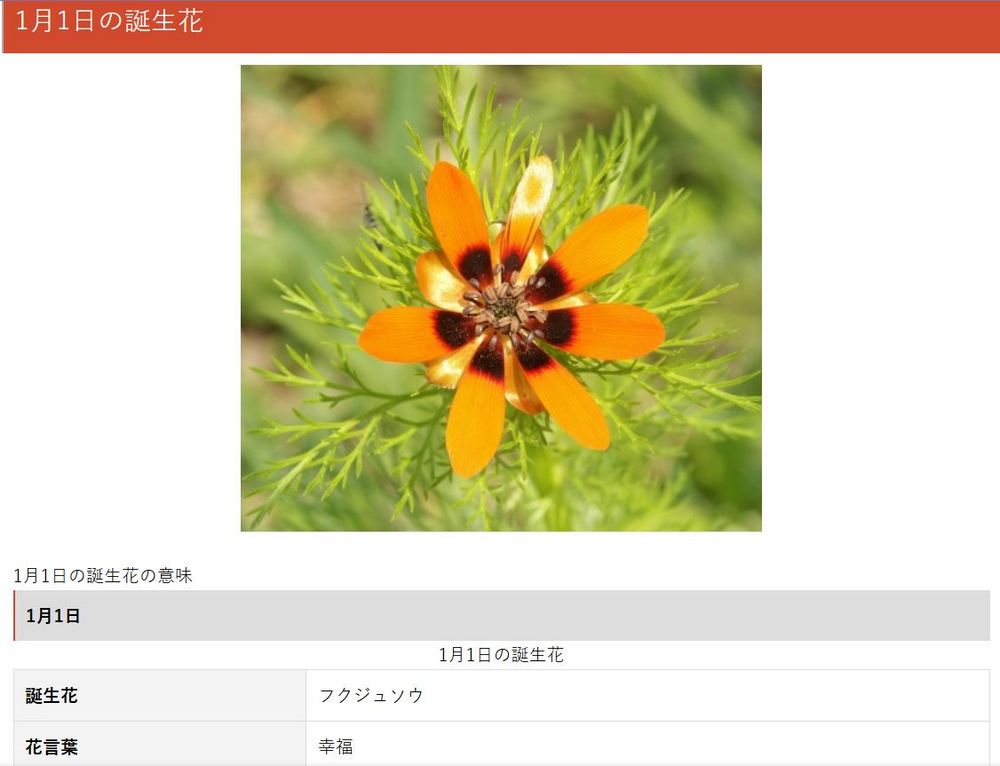 最特別的生日禮物靈感,生日石、生日生魚片!日本網站整理 11 種專屬個人的生日象徵物 - 電腦王阿達 最特別的生日禮物靈感,生日石、生日生魚片!日本網站整理 11 種專屬個人的生日象徵物 - 電腦王阿達