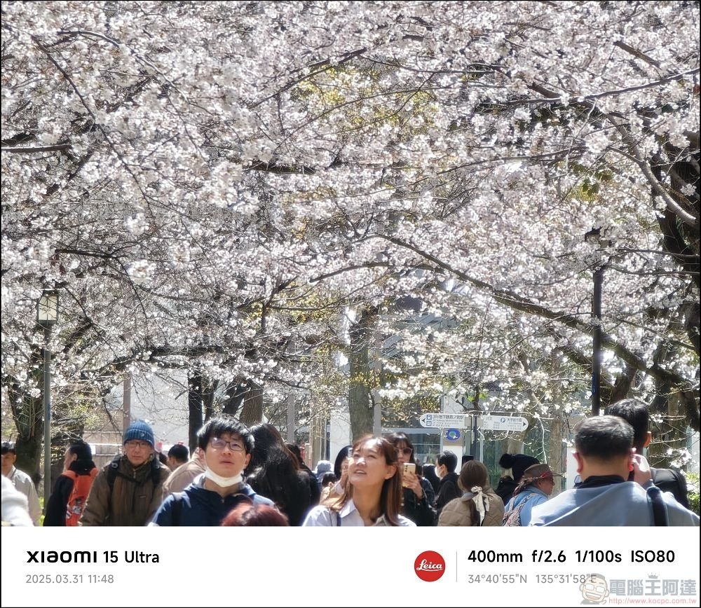 Xiaomi 15 Ultra 拍攝樣張 - 009 Xiaomi 15 Ultra 拍攝樣張 - 009