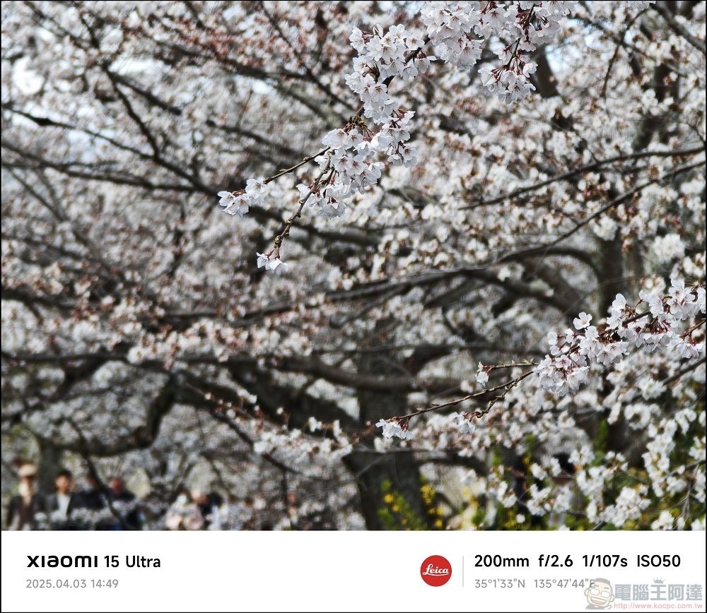 Xiaomi 15 Ultra 拍攝樣張 - 019 Xiaomi 15 Ultra 拍攝樣張 - 019