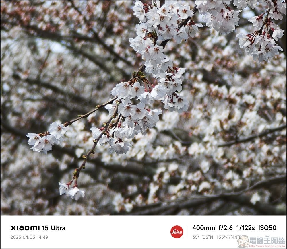Xiaomi 15 Ultra 拍攝樣張 - 020 Xiaomi 15 Ultra 拍攝樣張 - 020