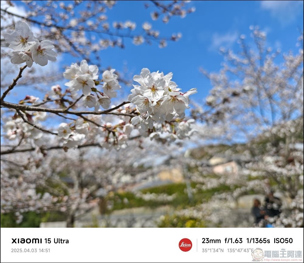 Xiaomi 15 Ultra 拍攝樣張 - 021 Xiaomi 15 Ultra 拍攝樣張 - 021