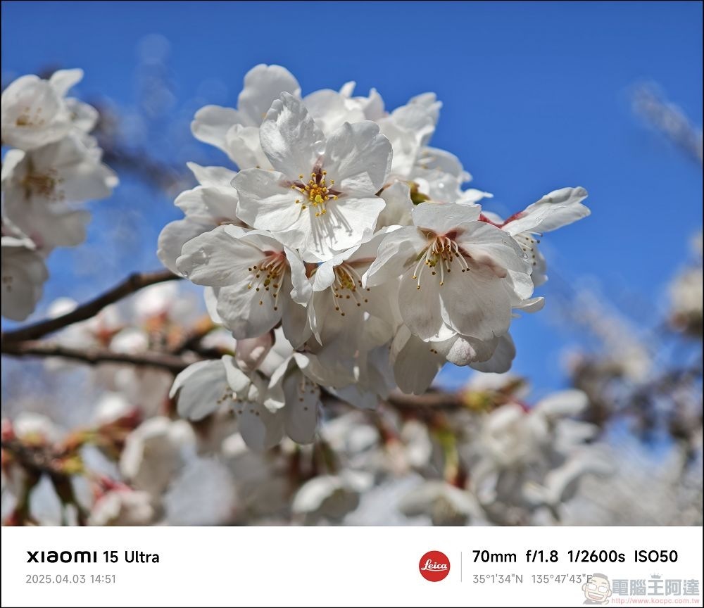 Xiaomi 15 Ultra 拍攝樣張 - 022 Xiaomi 15 Ultra 拍攝樣張 - 022