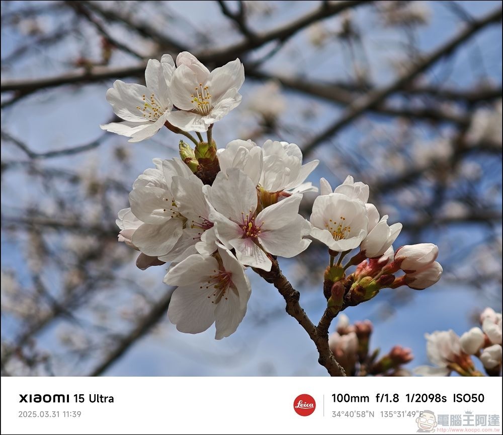 Xiaomi 15 Ultra 拍攝樣張 - 024 Xiaomi 15 Ultra 拍攝樣張 - 024