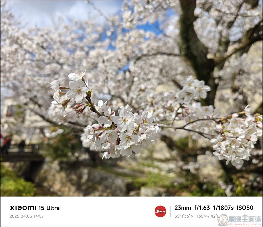 Xiaomi 15 Ultra 拍攝樣張 - 027 Xiaomi 15 Ultra 拍攝樣張 - 027