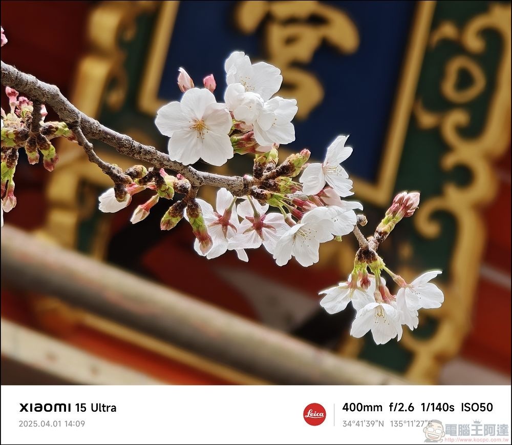 Xiaomi 15 Ultra 拍攝樣張 - 029 Xiaomi 15 Ultra 拍攝樣張 - 029
