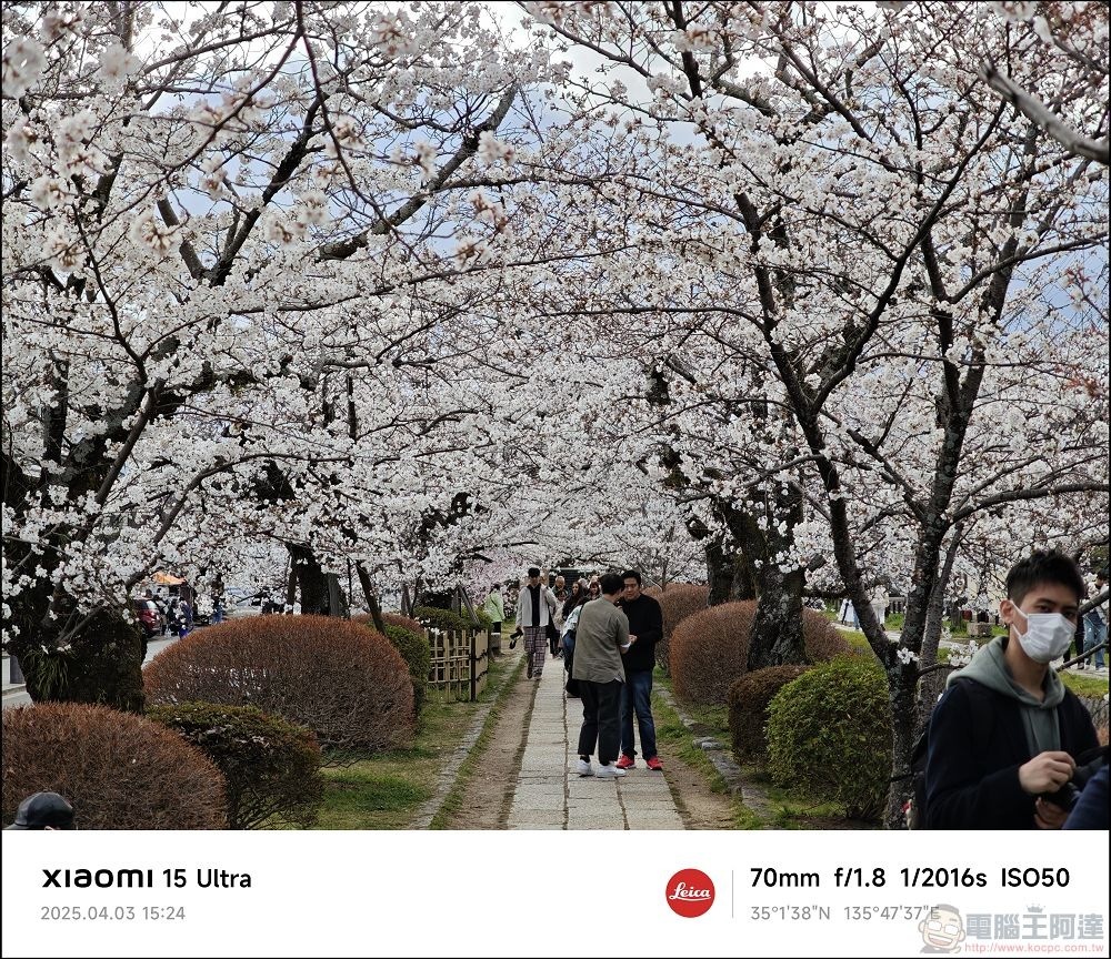 Xiaomi 15 Ultra 拍攝樣張 - 031 Xiaomi 15 Ultra 拍攝樣張 - 031