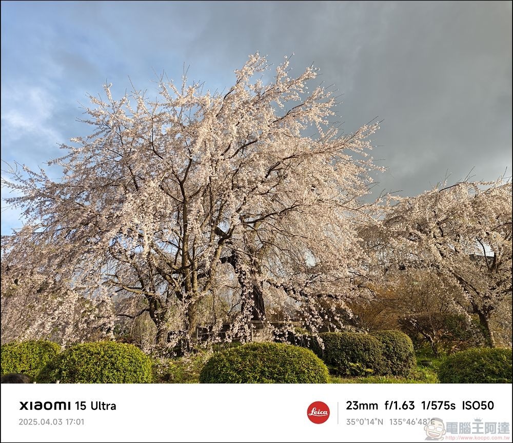 Xiaomi 15 Ultra 拍攝樣張 - 034 Xiaomi 15 Ultra 拍攝樣張 - 034