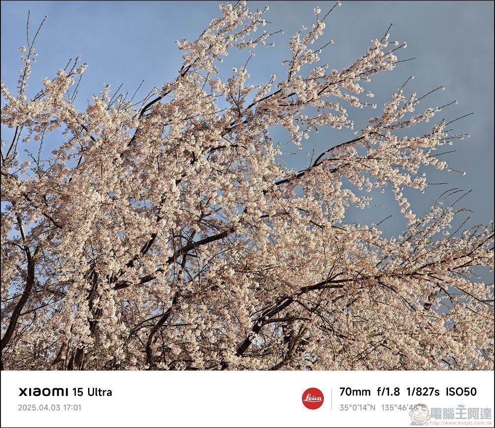 Xiaomi 15 Ultra 拍攝樣張 - 035 Xiaomi 15 Ultra 拍攝樣張 - 035