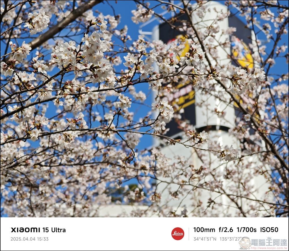 Xiaomi 15 Ultra 拍攝樣張 - 038 Xiaomi 15 Ultra 拍攝樣張 - 038