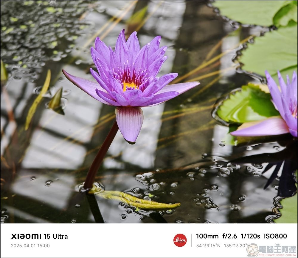 Xiaomi 15 Ultra 拍攝樣張 - 047 Xiaomi 15 Ultra 拍攝樣張 - 047