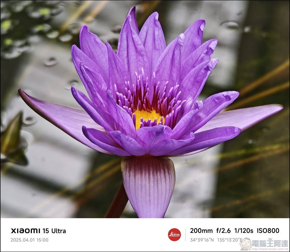 Xiaomi 15 Ultra 拍攝樣張 - 048 Xiaomi 15 Ultra 拍攝樣張 - 048