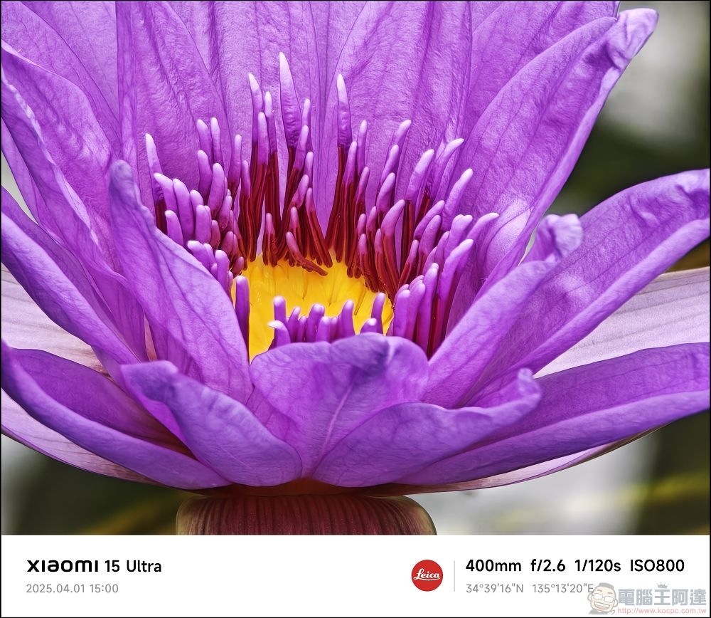 Xiaomi 15 Ultra 拍攝樣張 - 049 Xiaomi 15 Ultra 拍攝樣張 - 049