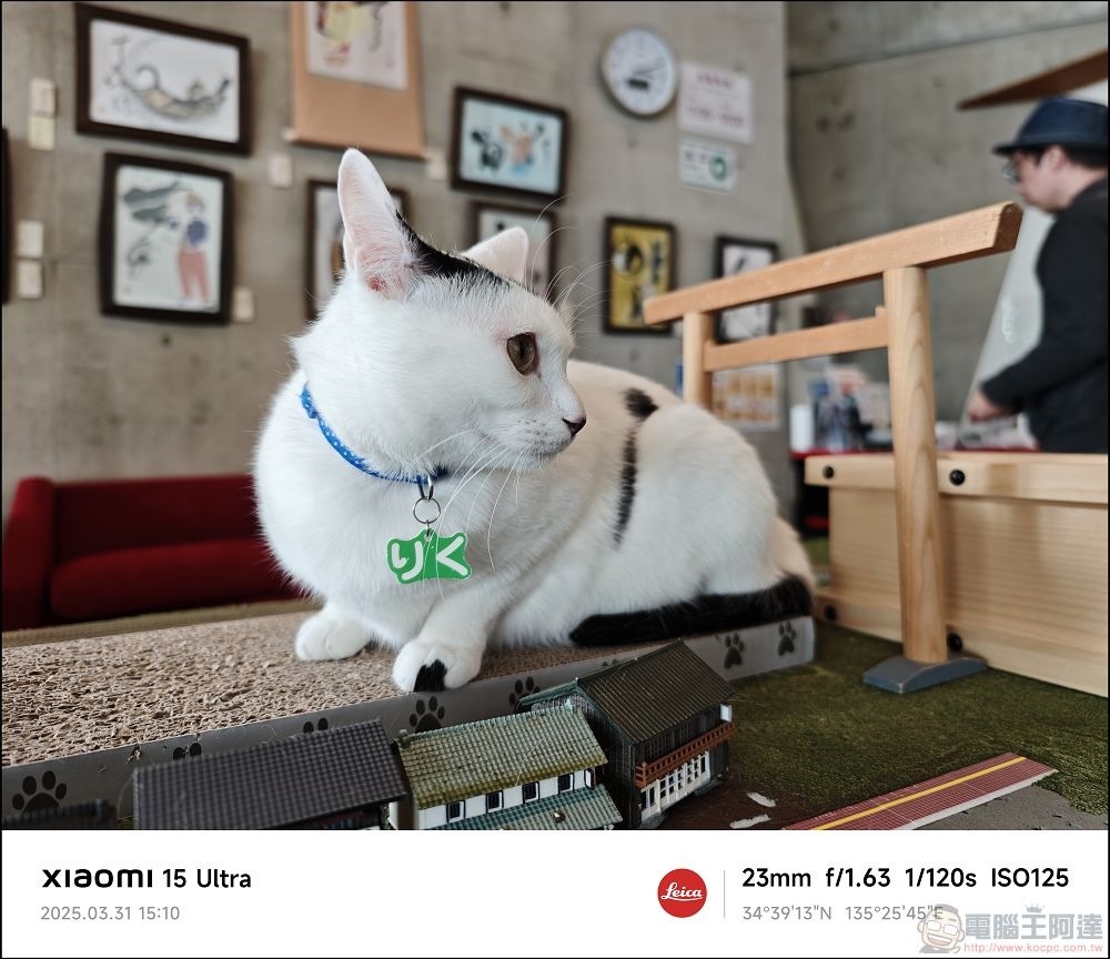 Xiaomi 15 Ultra 拍攝樣張 - 063 Xiaomi 15 Ultra 拍攝樣張 - 063