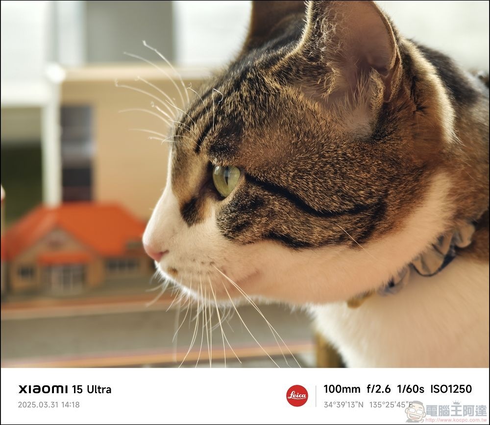 Xiaomi 15 Ultra 拍攝樣張 - 064 Xiaomi 15 Ultra 拍攝樣張 - 064