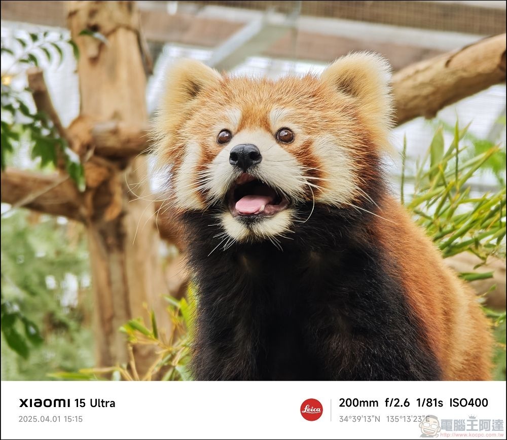 Xiaomi 15 Ultra 拍攝樣張 - 075 Xiaomi 15 Ultra 拍攝樣張 - 075