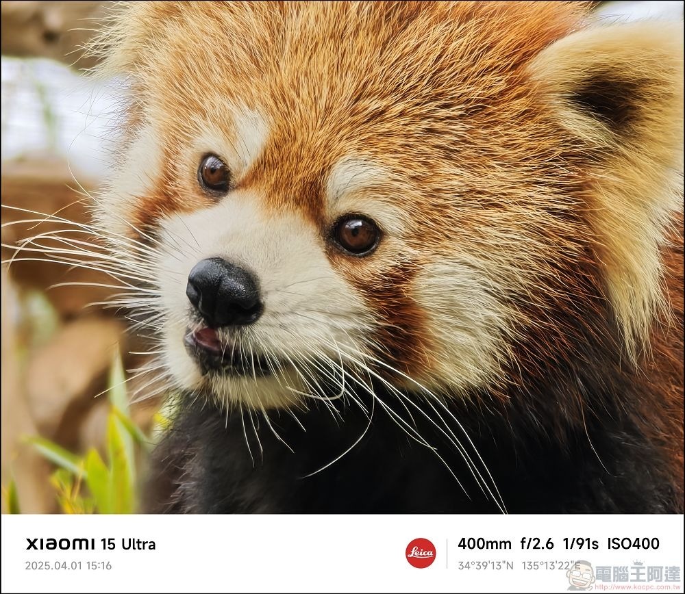 Xiaomi 15 Ultra 拍攝樣張 - 076 Xiaomi 15 Ultra 拍攝樣張 - 076