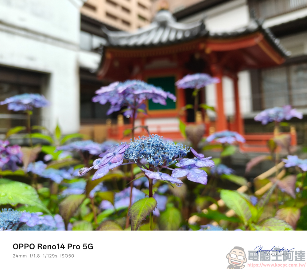OPPO Reno14 Pro 開箱:5000萬畫素四鏡頭 + AI 影像黑科技,續航實力全面升級 - 電腦王阿達 OPPO Reno14 Pro 開箱:5000萬畫素四鏡頭 + AI 影像黑科技,續航實力全面升級 - 電腦王阿達