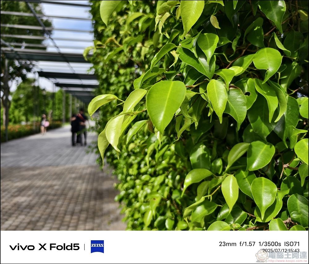 vivo X Fold5 拍攝樣張 - 15 vivo X Fold5 拍攝樣張 - 15