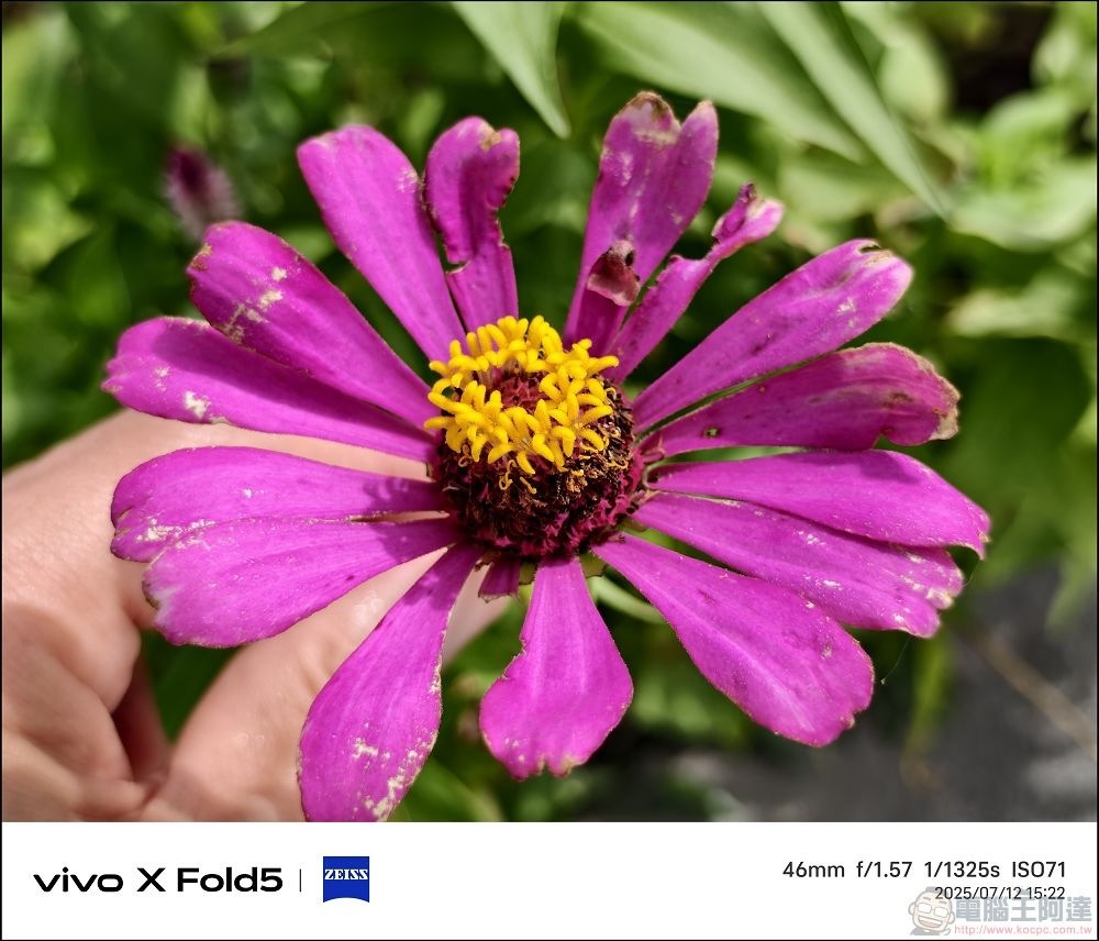 vivo X Fold5 拍攝樣張 - 25 vivo X Fold5 拍攝樣張 - 25
