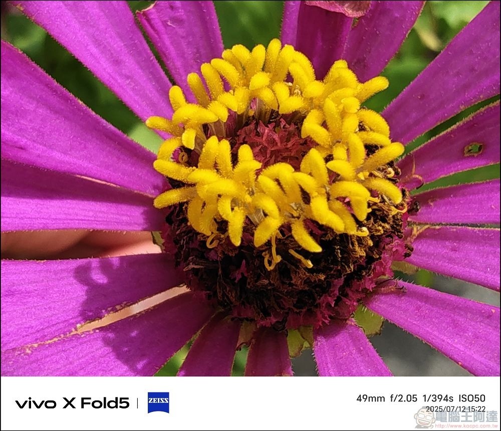 vivo X Fold5 拍攝樣張 - 26 vivo X Fold5 拍攝樣張 - 26