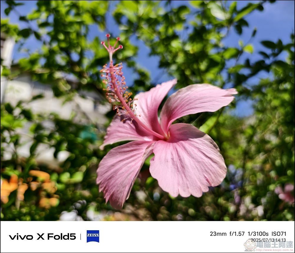 vivo X Fold5 拍攝樣張 - 27 vivo X Fold5 拍攝樣張 - 27